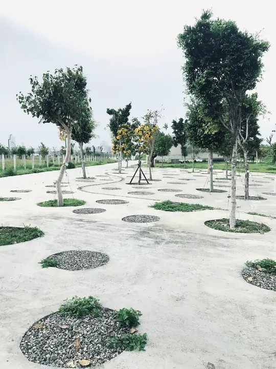 中央公園在台中