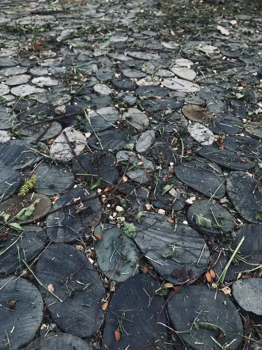 中央公園在台中