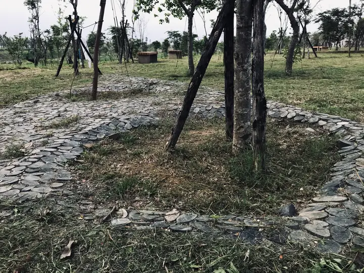 中央公園在台中