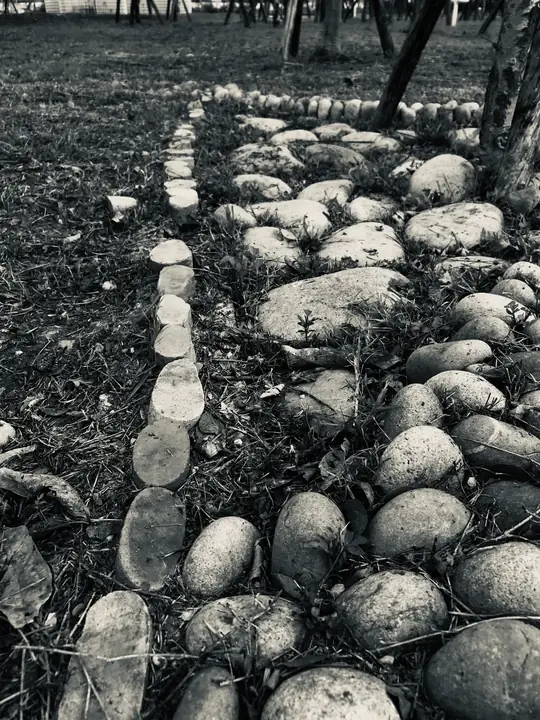 中央公園在台中