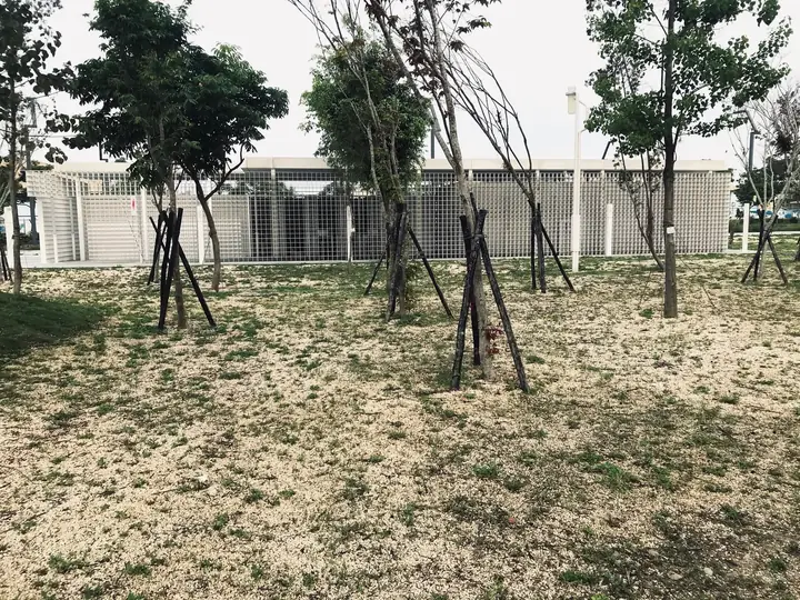 中央公園在台中