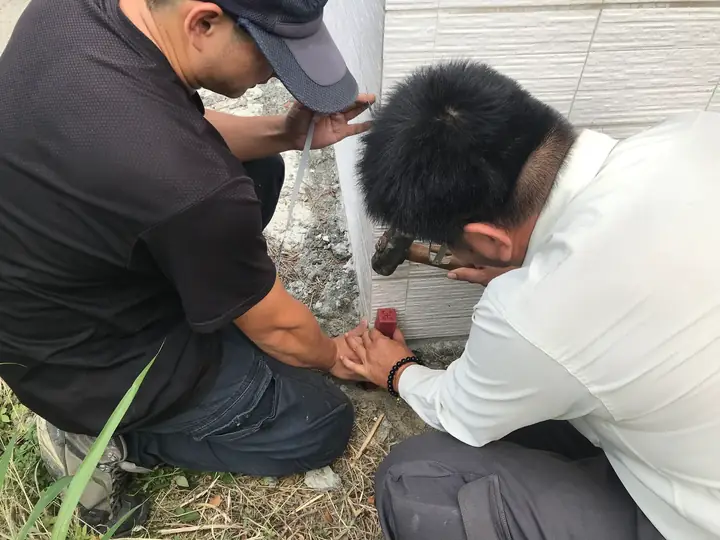 鑑界